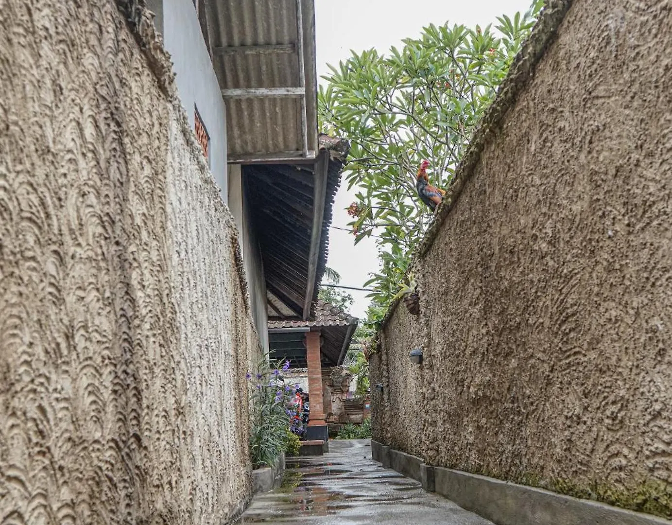 Nyamane Ubud Green View Villas By Eps Ubud (Bali)